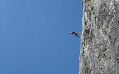 Hedge Fund Risk Management Consultants: 3 Things to Look For