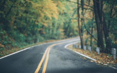 What To Look For When Hiring A Financial Consultant: Our Insights