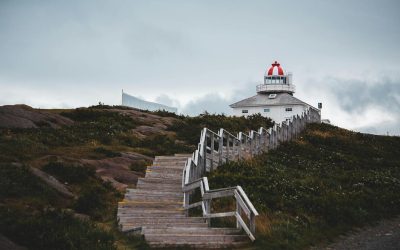 What is Wealth Management and Why Are Financial Consultants Important?