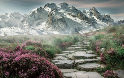 What Defines Someone as Ultra High Net Worth or Ultra Wealthy? Let’s Explore