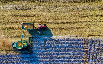 Farming and Technology: How Chicago Became the Global Hub of Commodities