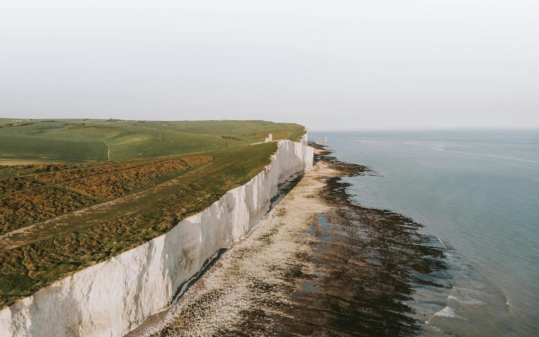 Bitcoin’s Drastic Fall: How Social Media Creates Extreme Volatility