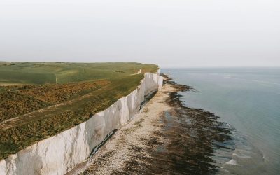 Bitcoin’s Drastic Fall: How Social Media Creates Extreme Volatility