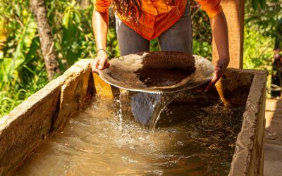 The Rise and Fall of Gold Prices: Where Will They Peak in 2026?